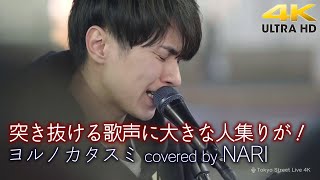 【 歌うま 】突き抜ける歌声に大きな人集りが！  ヨルノカタスミ / Kobore（cover）\