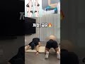 해외에서 난리난 전신 운동 매일 100번🔥 홈트레이닝 트레이닝 hometraining 홈트 다이어트 diet 스트레칭 교정운동