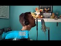 FRIENDS - Anne-Marie & Marshmello | Male Cover by ZERØ