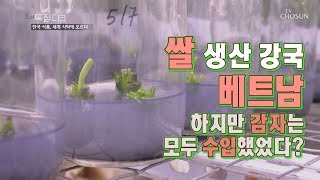 [조선영상비전]쌀 생산 강국 베트남 하지만 감자는 모두 수입했었다?