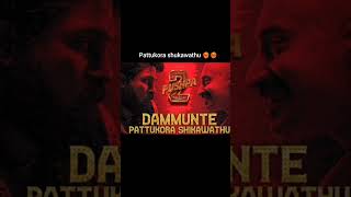 #Pushpa2.                      Dammunte pattukora shukawathu song #slowed #song #re #remix #trending