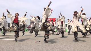 【第１部】驚天導地さん 春はよさこいinイオンモール高岡 2013