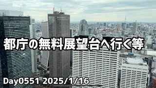 Day0551_都庁の無料展望台から東京を眺める、水槽のバックスクリーン導入検討、ダンボールを置いてみる等【2025年1月16日】