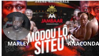 COMBAT ANACONDA VS MARLEY : COMBAT BOU GAW - 24 NOVEMBRE 2024