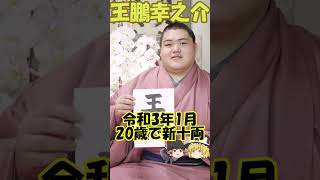 【力士紹介】王鵬幸之介（おうほうこうのすけ） #shorts #sumo #相撲 #王鵬 #大嶽部屋 #ゆっくり解説 #相撲 #格闘技