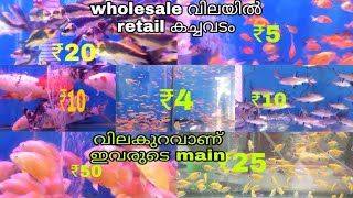 തൃശൂർ ജില്ലയിലെ ഏറ്റവും വലിയ aquarium shop | ഗപ്പി മുതൽ arapaima വരെ ഉണ്ട് | babu golden aquarium