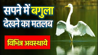 Sapne me bagula dekhna | seeing heron in dreams | bagule ka sapna dekhna kaisa hota hai |