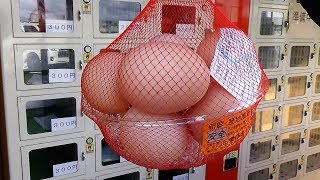 タマゴの自販機 Egg Vending Machine