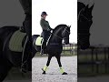 showing this weekend 😼 tiktok equestrain horse shorts edit