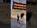 街拍 345 小姐姐的视频就是这样拍出来的？ 街拍美女 shorts tiktok 抖音 太古里 成都 网红 小姐姐 美女 熟女 少妇 光棍 单身狗