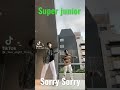 Super junior sorry sorry dance cover with friend