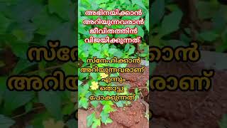 സത്യം അല്ലേ?#shortsfeed #shortsvideo #shortvideo #shortvideo #shortvideo #HIZA'S WORLD