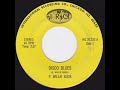 p. willie buck disco blues