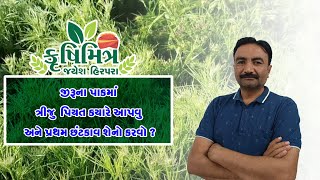 જીરુંના પાકમાં ત્રીજુ પિયત કયારે આપવું અને પ્રથમ છટકાવ શેનો કરવો ?