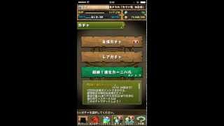 【パズドラ】友情ガチャイベント「超絶！進化カーニバル」登場!!