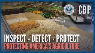 Protecting America's Agriculture - Inspect Detect Protect - CBP Agriculture Specialists | CBP