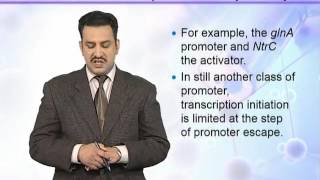 BIO302 Topic185