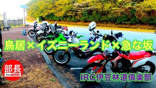 鳥居×イズニーランド×急な坂×IRC伊豆林道倶楽部 2023-10-29【モトブログ】