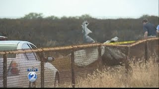 Five killed after skydiving plane crashes on Kauai