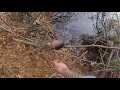 Beaver trapping in ct and stay leagal