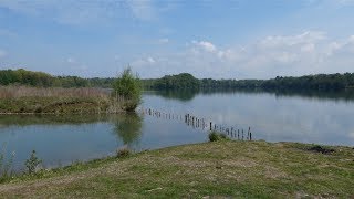 Freiburg Landwasser Opfinger See Mai 2017 Luftbilder in 4K