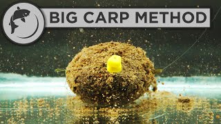 How To Fish The Method Feeder For BIG CARP