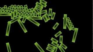 SDL OpenGL Box2D C++ - Physics Demo Test Sandbox