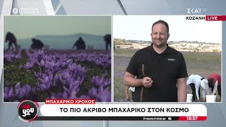 Μπαχαρικό κρόκος: Το πιο ακριβό μπαχαρικό στον κόσμο | Live You | 31/10/2024