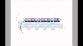 Peyote Stitch tutorial Expert tutorial Ann Benson