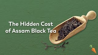 The True Cost Of Assam Black Tea