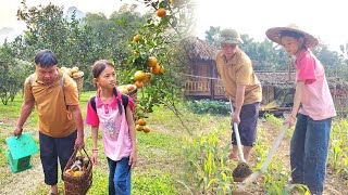 He and his granddaughter worked together to weed the corn garden and harvest oranges to sell