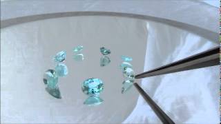 paraiba.wmv