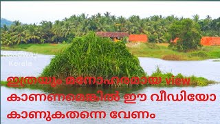 Kerala Thrissur Real beauty അടിപൊളി വ്യൂ പോയിന്റുമായി Aloor paddy fields Thrissur Beautiful place