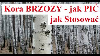 Kora Brzozy - jak PIĆ jak Stosować