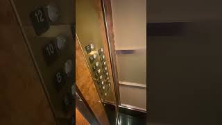 Elevator Carnival Dream