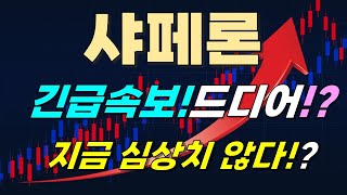 [샤페론 주가전망] 긴급속보!! 드디어!? 지금 심상치 않다!?