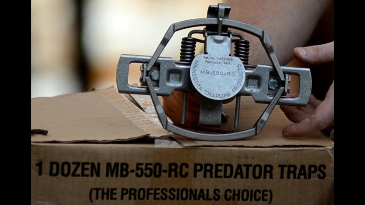 Best Predator Coyote Trap Mb 550 Trap Review Youtube