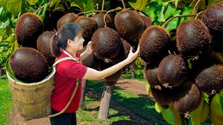 Daily Life | Harvesting KIWI FRUIT Goes To Market Sell - Mutant fruit that makes your mouth itch