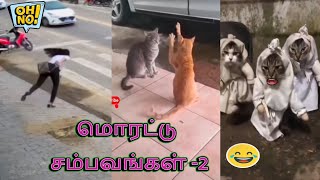 டேய் 🤣ஏற்கனவே பிசஞ்சுட்டல்ல இன்னும் என்னடா மாவு பிசயுற 😜😁 || Funny Bytes Tamil