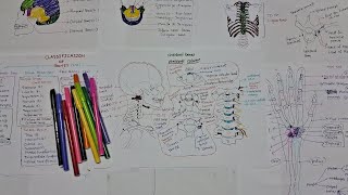 CLASSIFICATION OF BONES