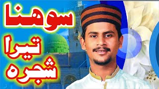 Sohna Tera Shajra || Muhammad Azam Qadri New Naat 2022 || Aaqa Tera Sajra