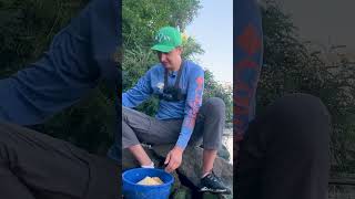 Горох 👉 лучшая добавка для леща 👌  ТОП ❗️ #shorts