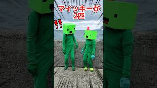 まいぜんシスターズ実写版/マイッキーが分身🐢🐢した結果⁉️