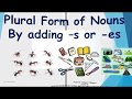 PLURAL FORM OF NOUNS