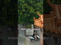 樹為一扇門門為一棵樹，你見過這樣的奇景嗎 china 旅行 travel 中国旅游 旅游 旅行推薦官 旅遊攻略 旅行攻略 奇景 奇觀 shorts 中國風景