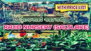 RAJIB NURSERY (SALTLAKE), Nursery for plants, succulents, cactus, bonsai and gardening components.