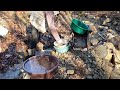 amazing gold prospecting gold discovery gold rush traditional gold panning