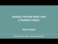 Spyros Sypsas | Seeding Primordial Black Holes in Multifield Inflation