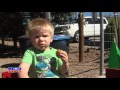 Dave's World of Wonder - Volcan Valley Apple Farm