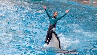 【鴨川シーワールド シャチパフォーマンス】2019.1.26 15:00! Orca Show@KAMOGAWA SEA WORLD